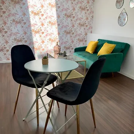 Elegant Bv De La Reine Apartment